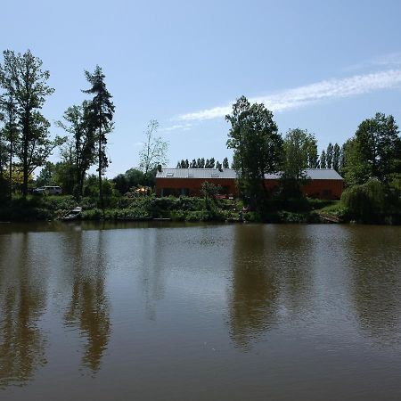 Florennes Gite Neuf 150 M2 Devant Un Grand Lac Prive De 2 Hectares Poissonneux Au Milieu Des Bois 외부 사진