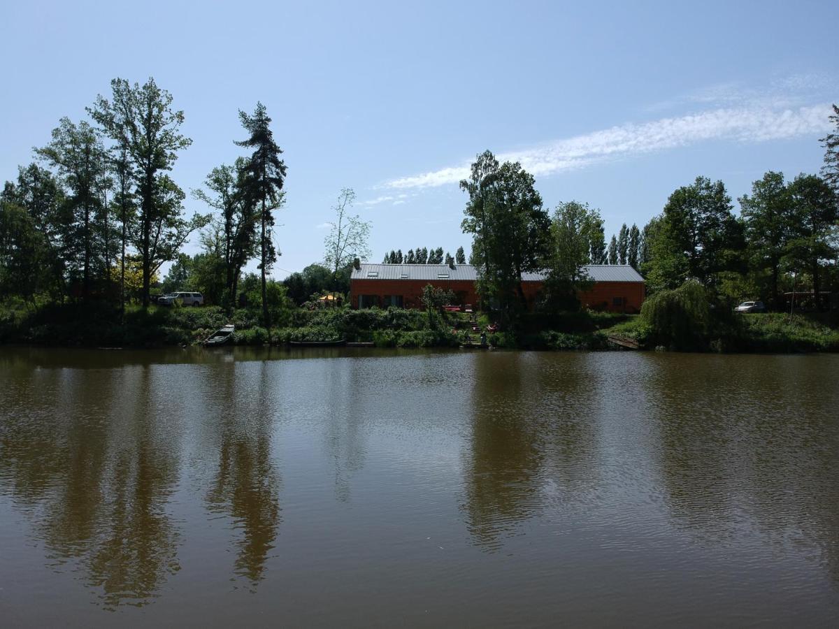 Florennes Gite Neuf 150 M2 Devant Un Grand Lac Prive De 2 Hectares Poissonneux Au Milieu Des Bois 외부 사진