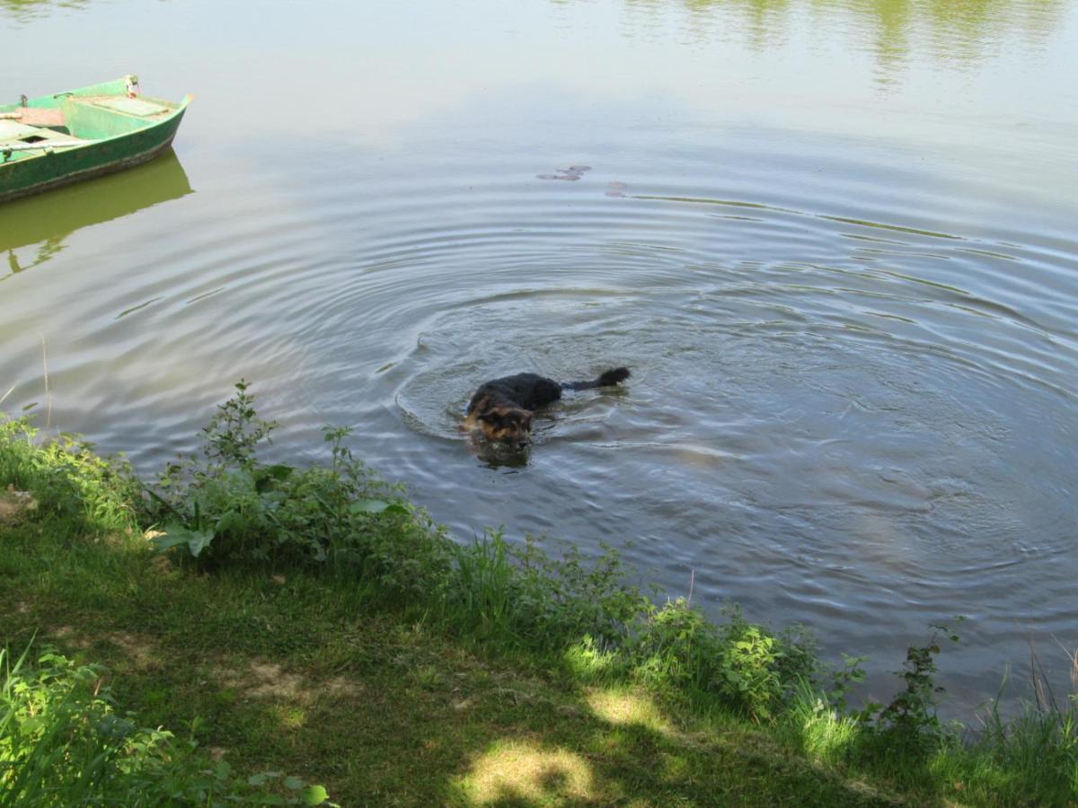 Florennes Gite Neuf 150 M2 Devant Un Grand Lac Prive De 2 Hectares Poissonneux Au Milieu Des Bois 외부 사진
