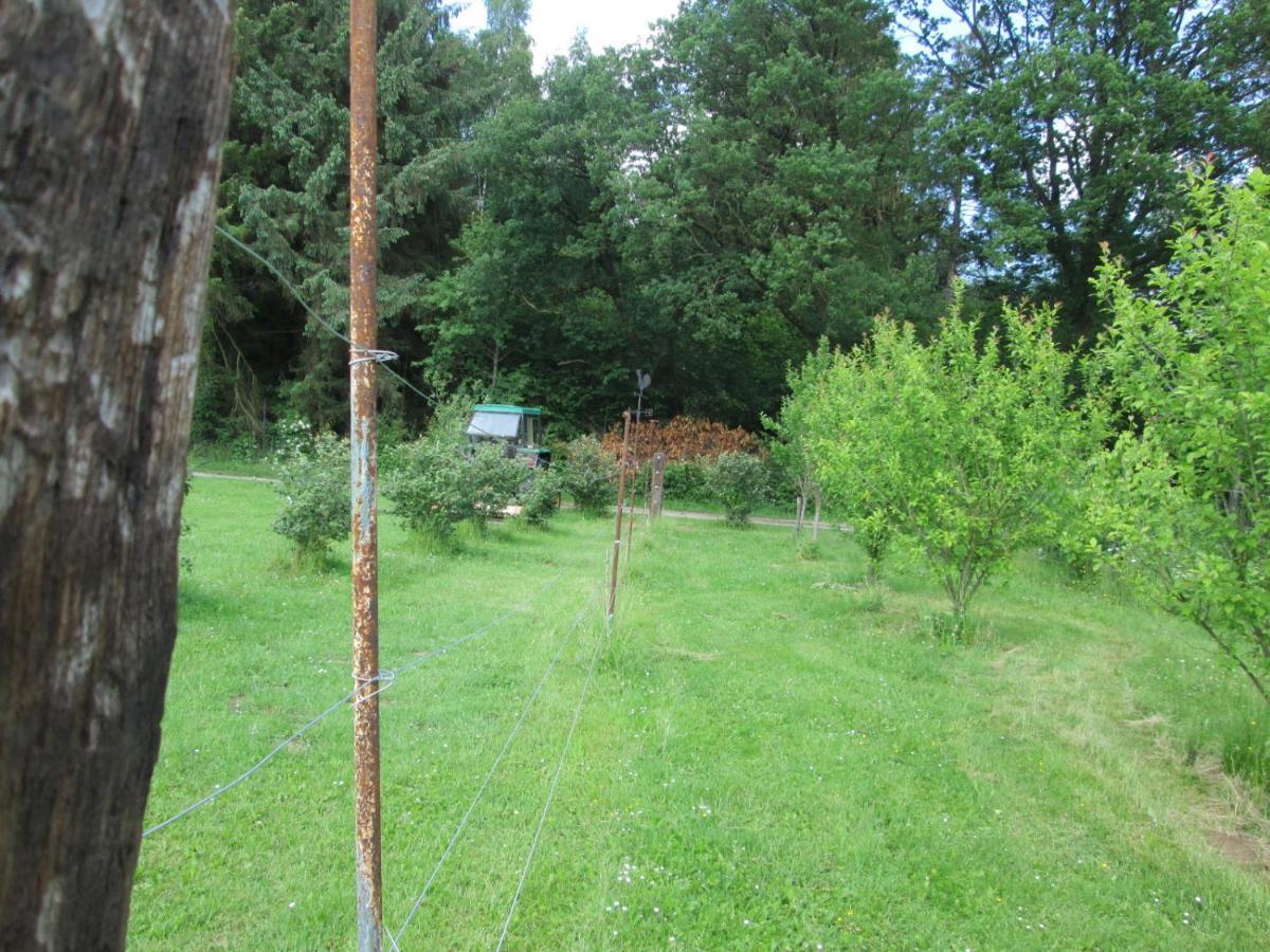 Florennes Gite Neuf 150 M2 Devant Un Grand Lac Prive De 2 Hectares Poissonneux Au Milieu Des Bois 외부 사진