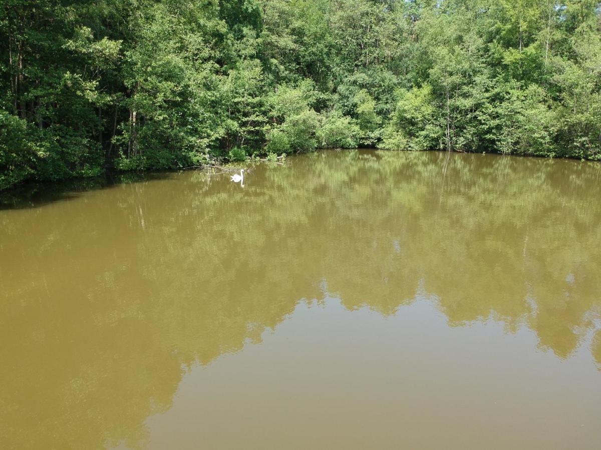 Florennes Gite Neuf 150 M2 Devant Un Grand Lac Prive De 2 Hectares Poissonneux Au Milieu Des Bois 외부 사진