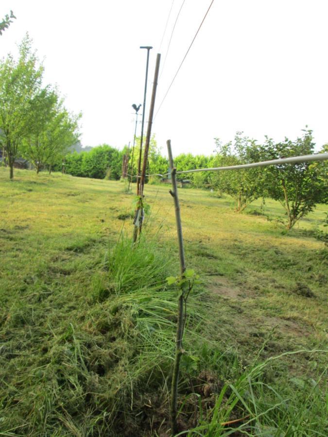 Florennes Gite Neuf 150 M2 Devant Un Grand Lac Prive De 2 Hectares Poissonneux Au Milieu Des Bois 외부 사진