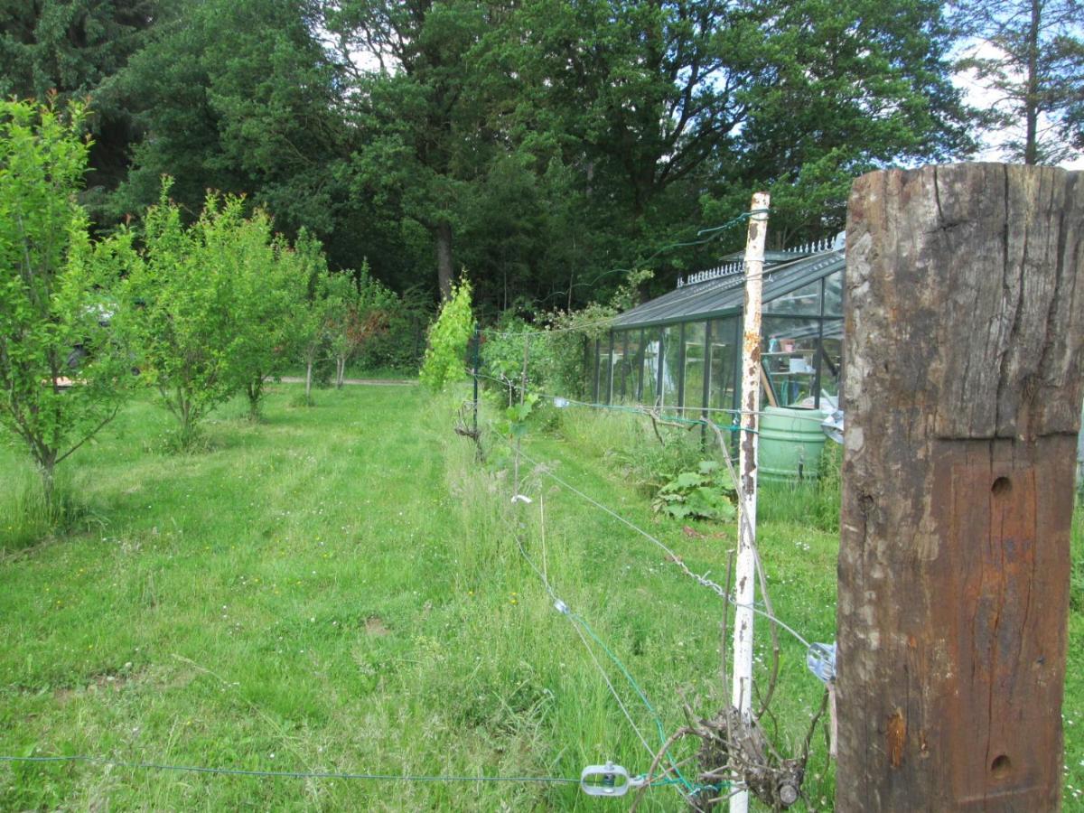Florennes Gite Neuf 150 M2 Devant Un Grand Lac Prive De 2 Hectares Poissonneux Au Milieu Des Bois 외부 사진