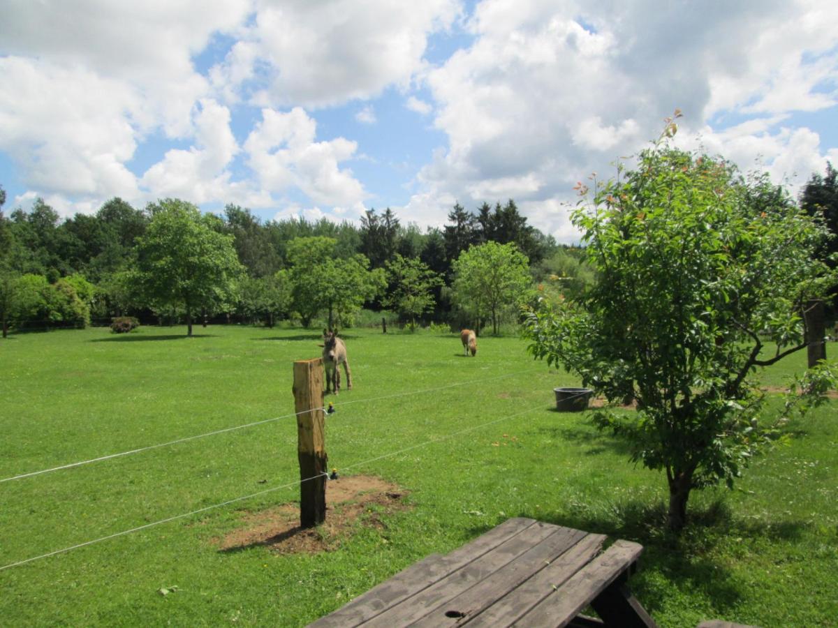 Florennes Gite Neuf 150 M2 Devant Un Grand Lac Prive De 2 Hectares Poissonneux Au Milieu Des Bois 외부 사진