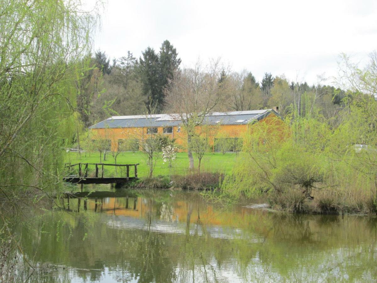Florennes Gite Neuf 150 M2 Devant Un Grand Lac Prive De 2 Hectares Poissonneux Au Milieu Des Bois 외부 사진