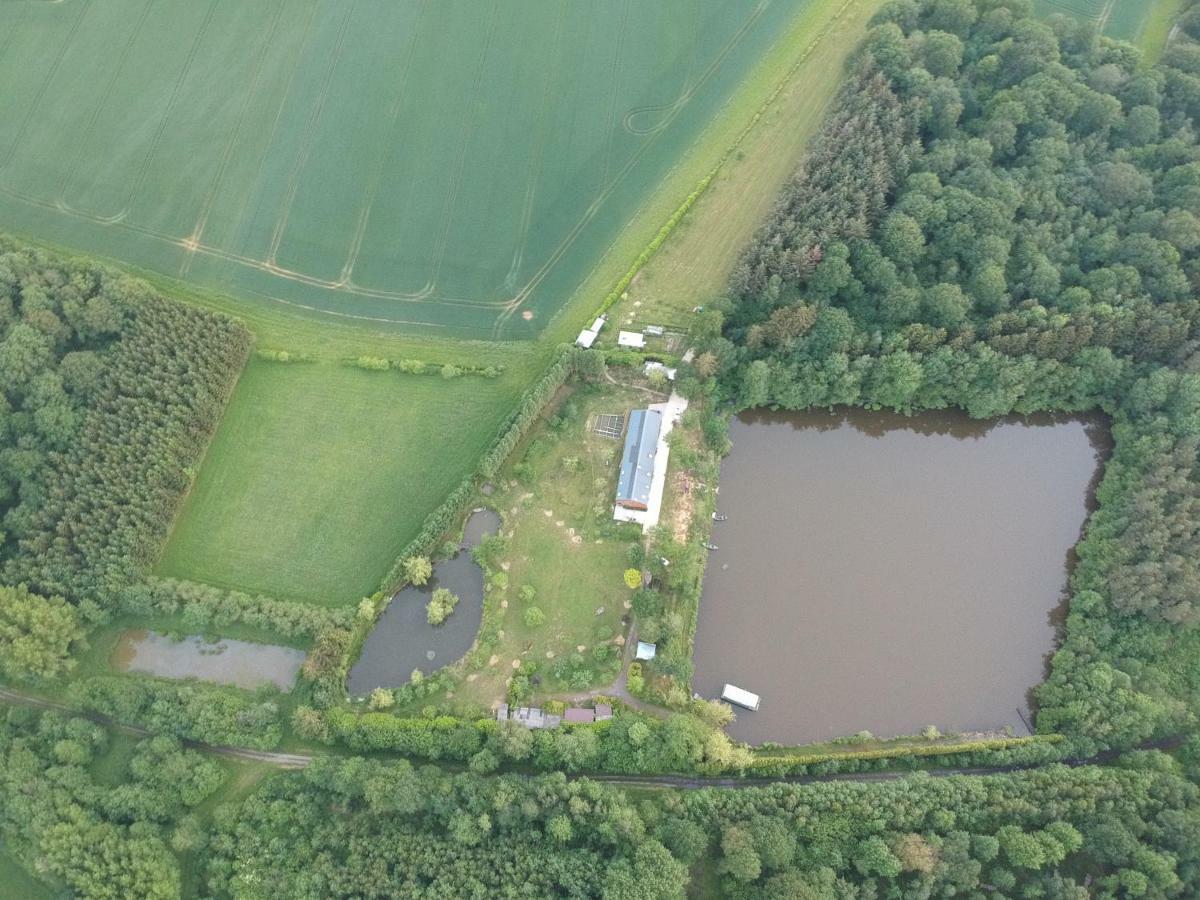 Florennes Gite Neuf 150 M2 Devant Un Grand Lac Prive De 2 Hectares Poissonneux Au Milieu Des Bois 외부 사진