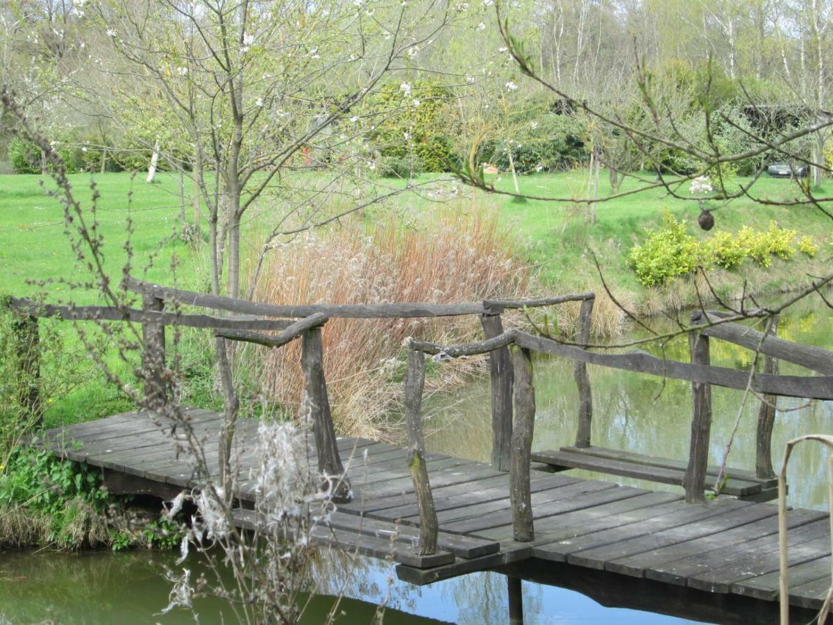 Florennes Gite Neuf 150 M2 Devant Un Grand Lac Prive De 2 Hectares Poissonneux Au Milieu Des Bois 외부 사진