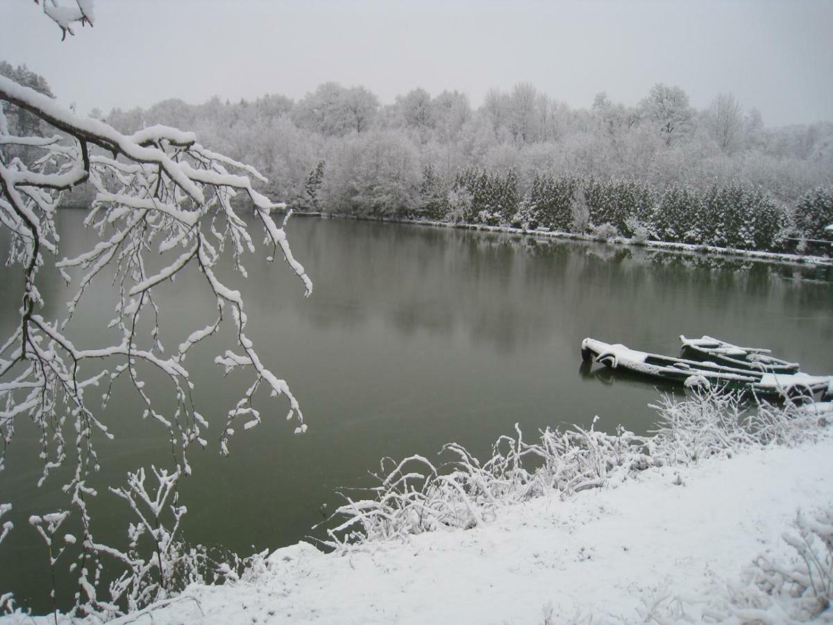 Florennes Gite Neuf 150 M2 Devant Un Grand Lac Prive De 2 Hectares Poissonneux Au Milieu Des Bois 외부 사진