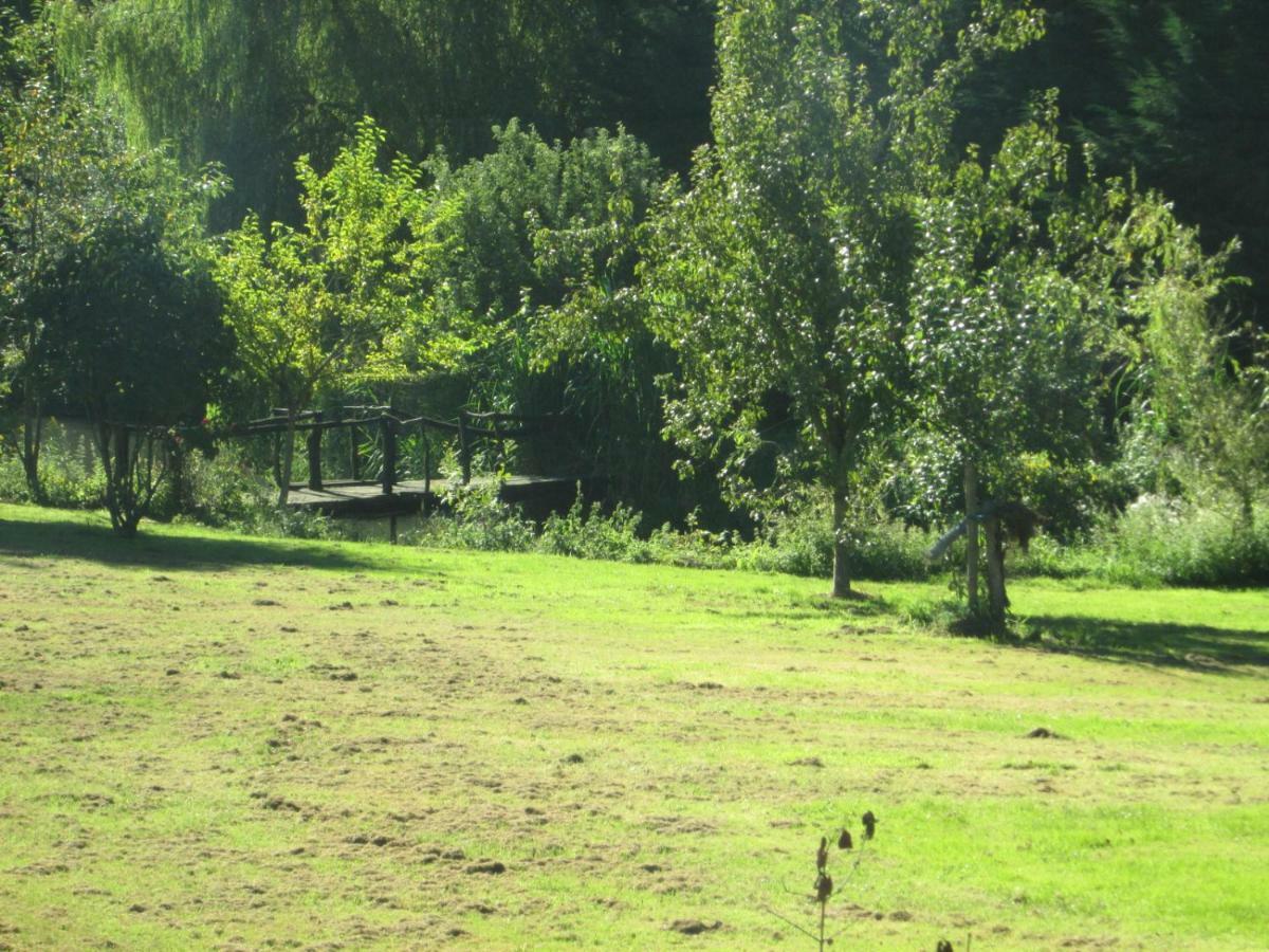 Florennes Gite Neuf 150 M2 Devant Un Grand Lac Prive De 2 Hectares Poissonneux Au Milieu Des Bois 외부 사진