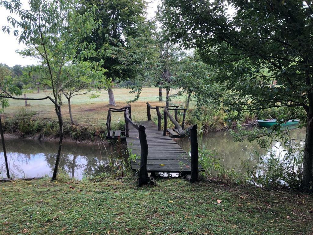Florennes Gite Neuf 150 M2 Devant Un Grand Lac Prive De 2 Hectares Poissonneux Au Milieu Des Bois 외부 사진