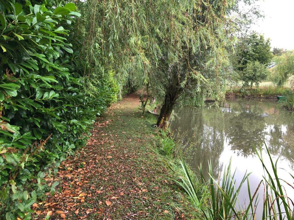 Florennes Gite Neuf 150 M2 Devant Un Grand Lac Prive De 2 Hectares Poissonneux Au Milieu Des Bois 외부 사진